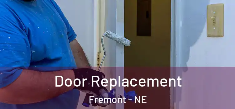  Door Replacement Fremont - NE