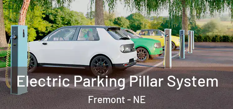  Electric Parking Pillar System Fremont - NE