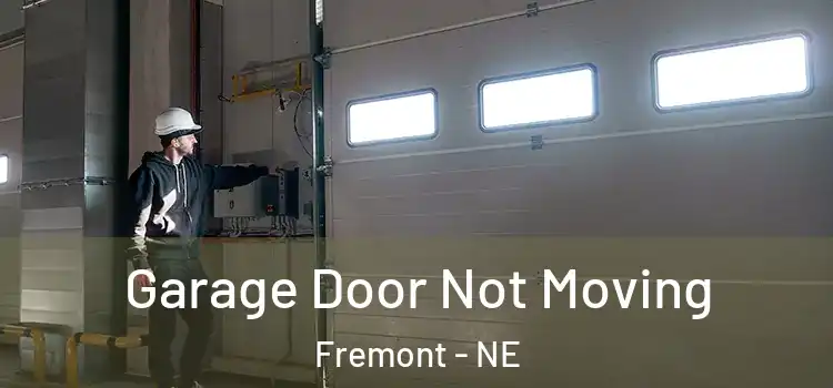  Garage Door Not Moving Fremont - NE