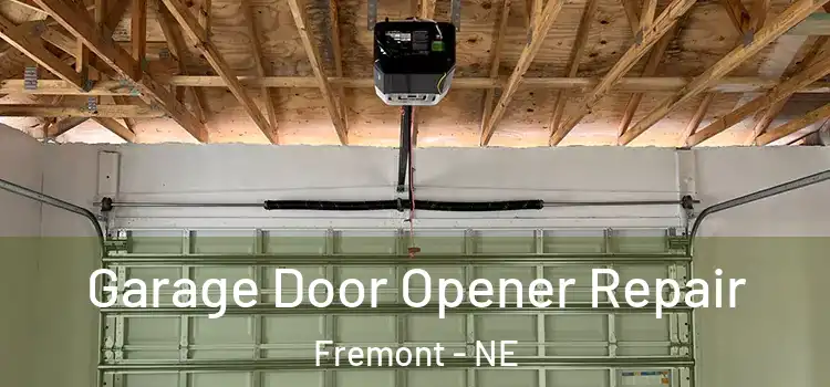  Garage Door Opener Repair Fremont - NE