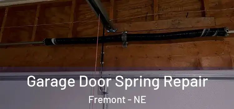 Garage Door Spring Repair Fremont - NE